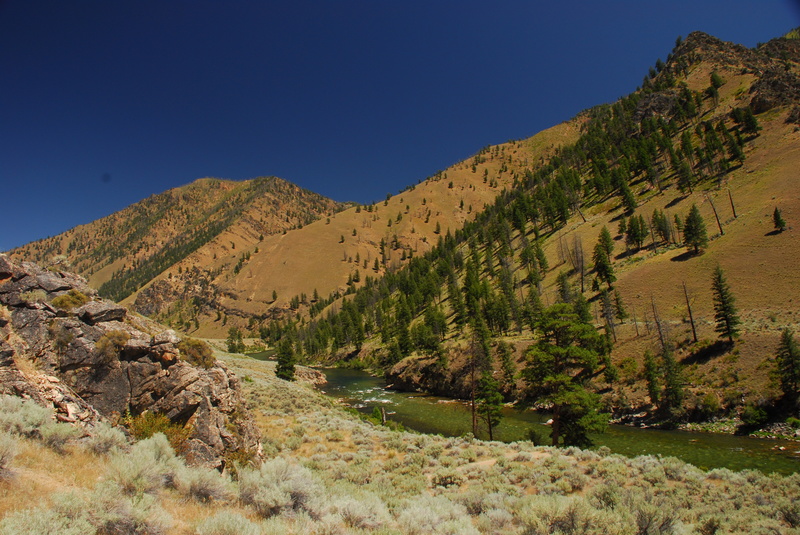 Cameron Creek Day Use Site (RL)