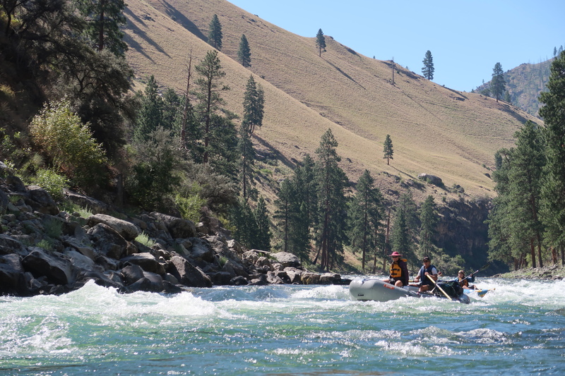 Cutthroat Cove Rapid