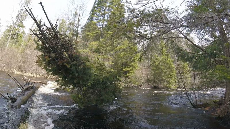 Series of 4 minor rapids w/risk of stainers