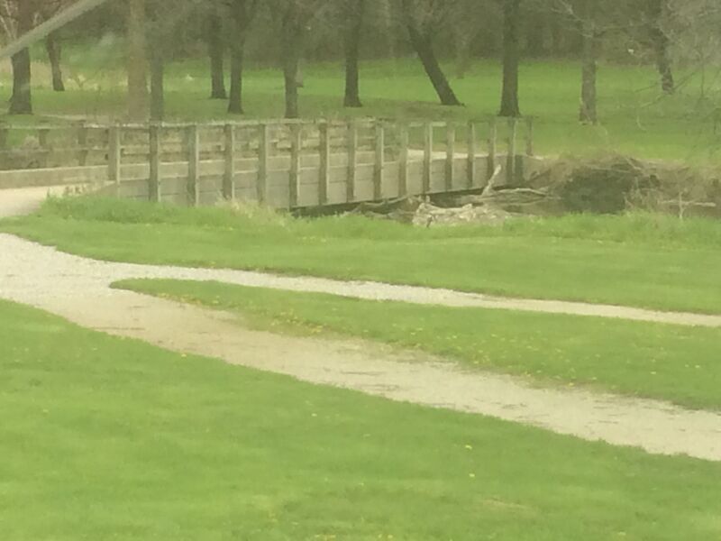 Bridge: Currie Park Golf