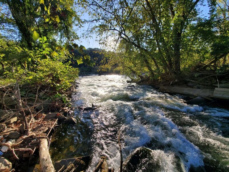 Charlie's Little Shop Of Horrors