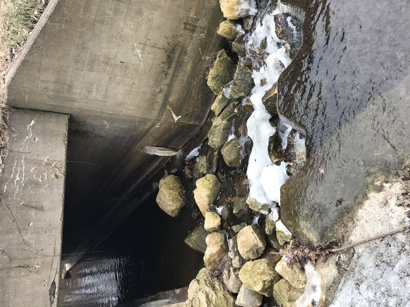 Put In: S.Ravine Street