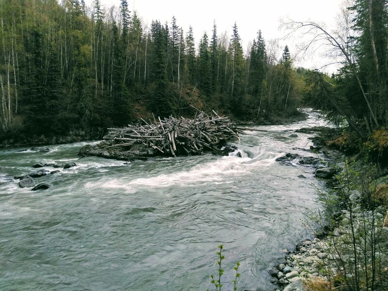 Campground Rapid
