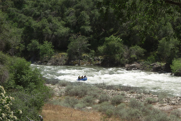 Crazy Horse Bend Rapid