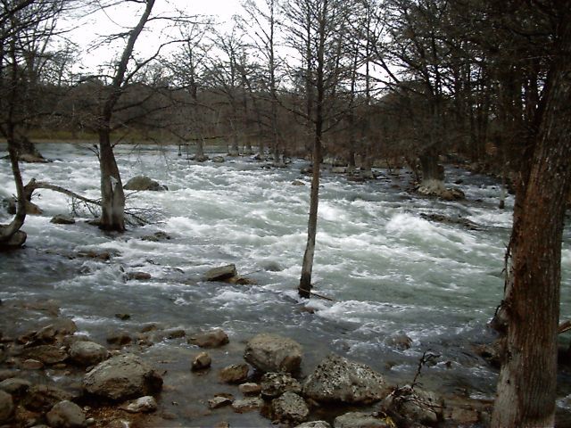 Gruene Rapid