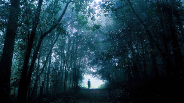 A Walk in the (Dark) Woods