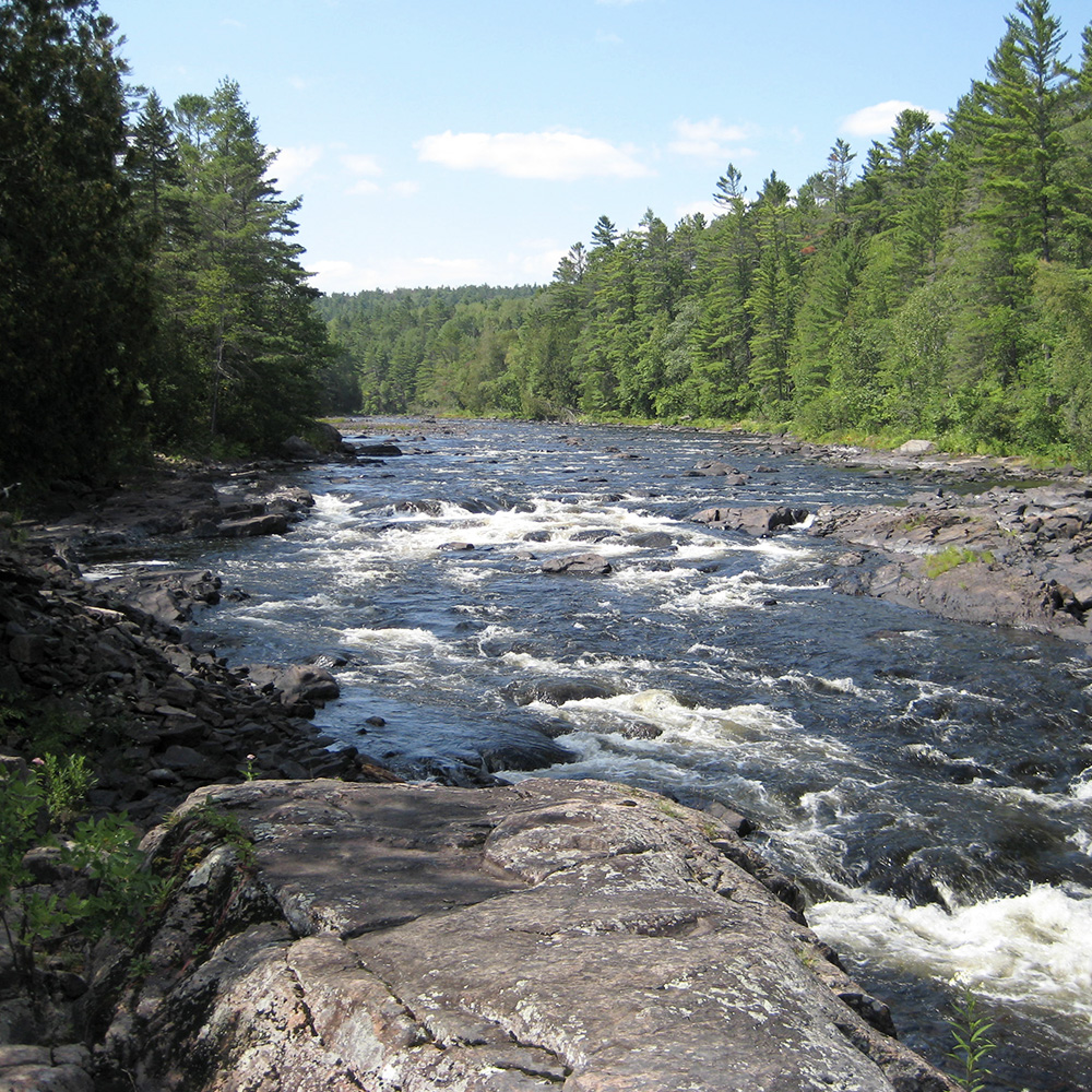 Algonquin Falls
