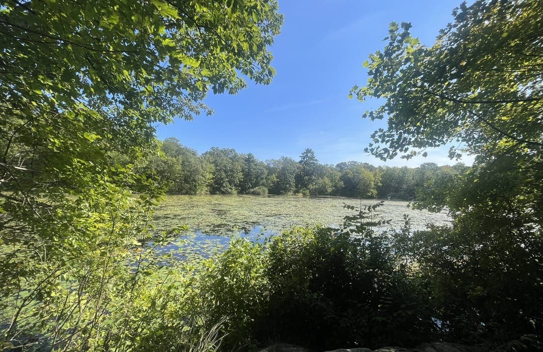 Another old dam above Washington Ave.