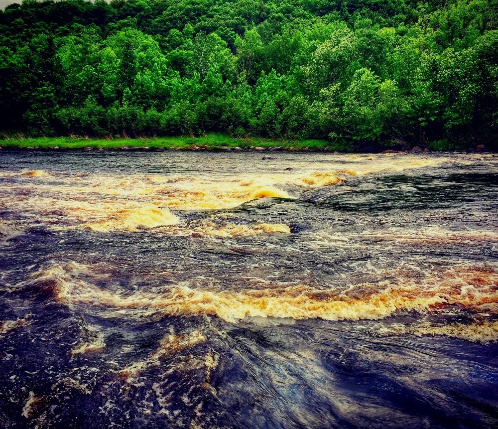 Beaver Dam Rapids