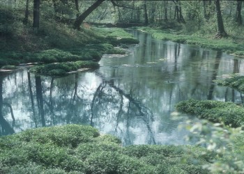 Boze Mill Float Camp