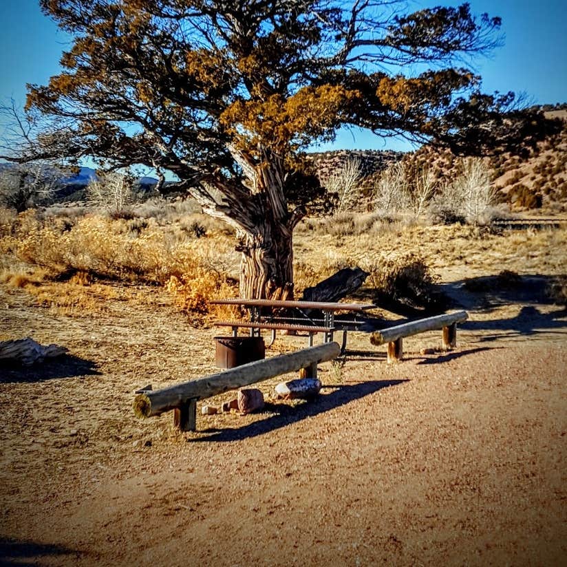 Bridge Hollow Campground