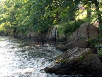 Brief minor rock garden
