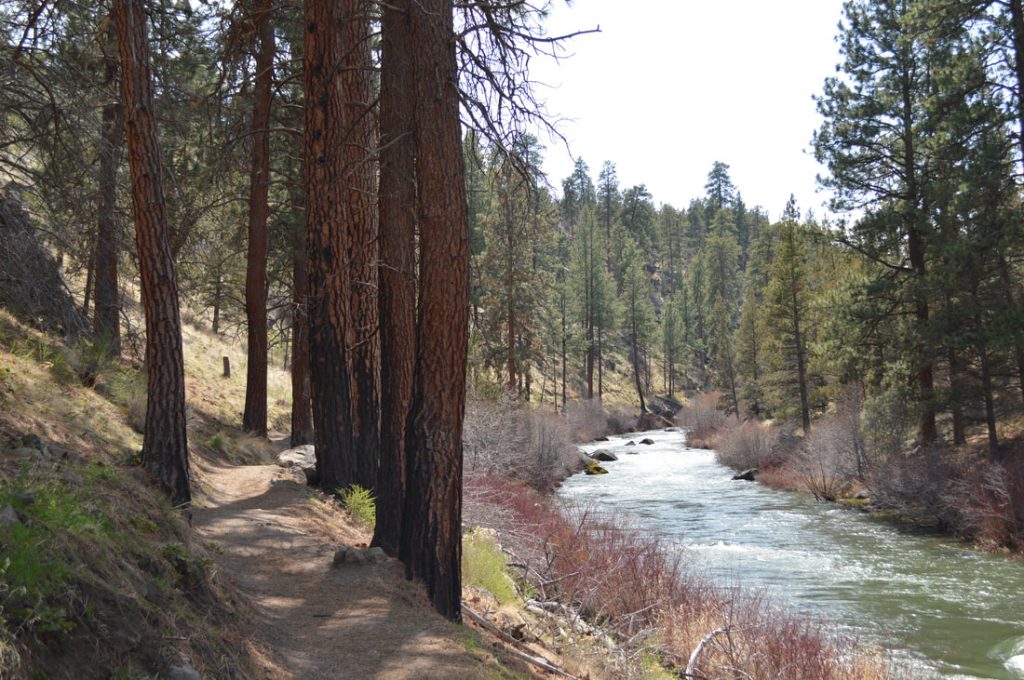 Bull Bend Campground