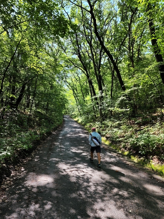 Burr Oak Trail Bridge