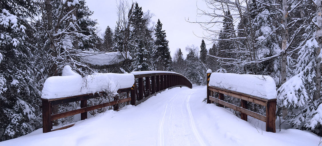 C.J.Ramstad North Shore Trail Bridge