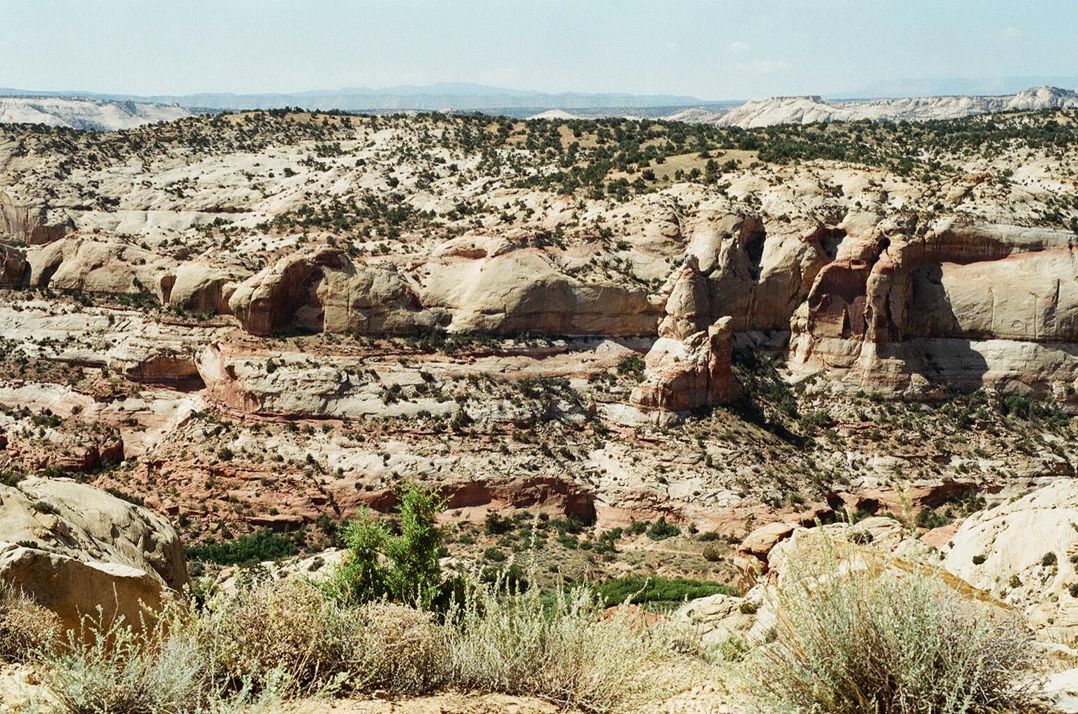 Calf Creek- Highway 12