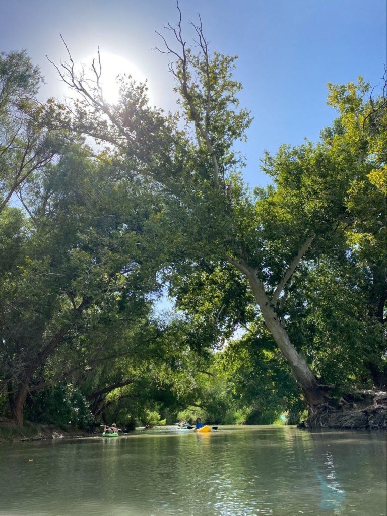 Camp Drive Bridge Access