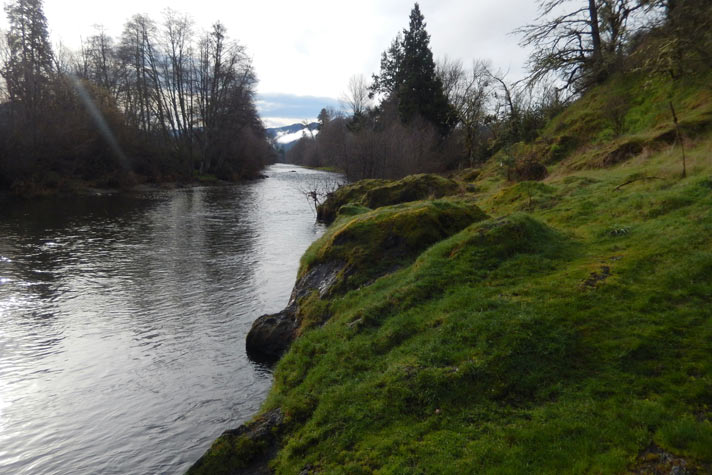 Cantrall Buckley County Park