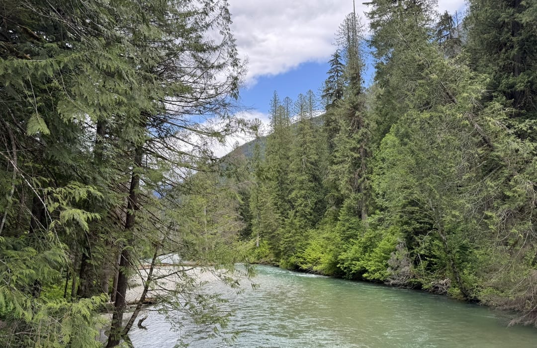 Canyon Creek Trailhead - Start of Ruby Creek