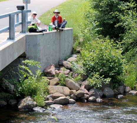 Confluence, S.Fk.Eau Claire