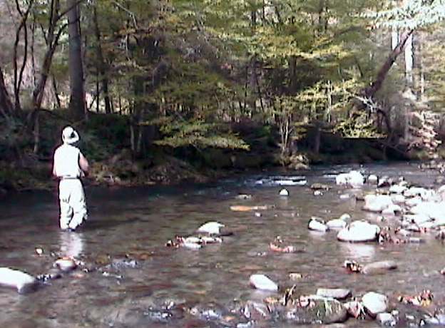 Confluence with Bradley Fork
