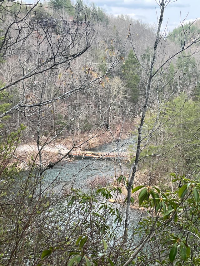 Confluence with Daddy's Creek