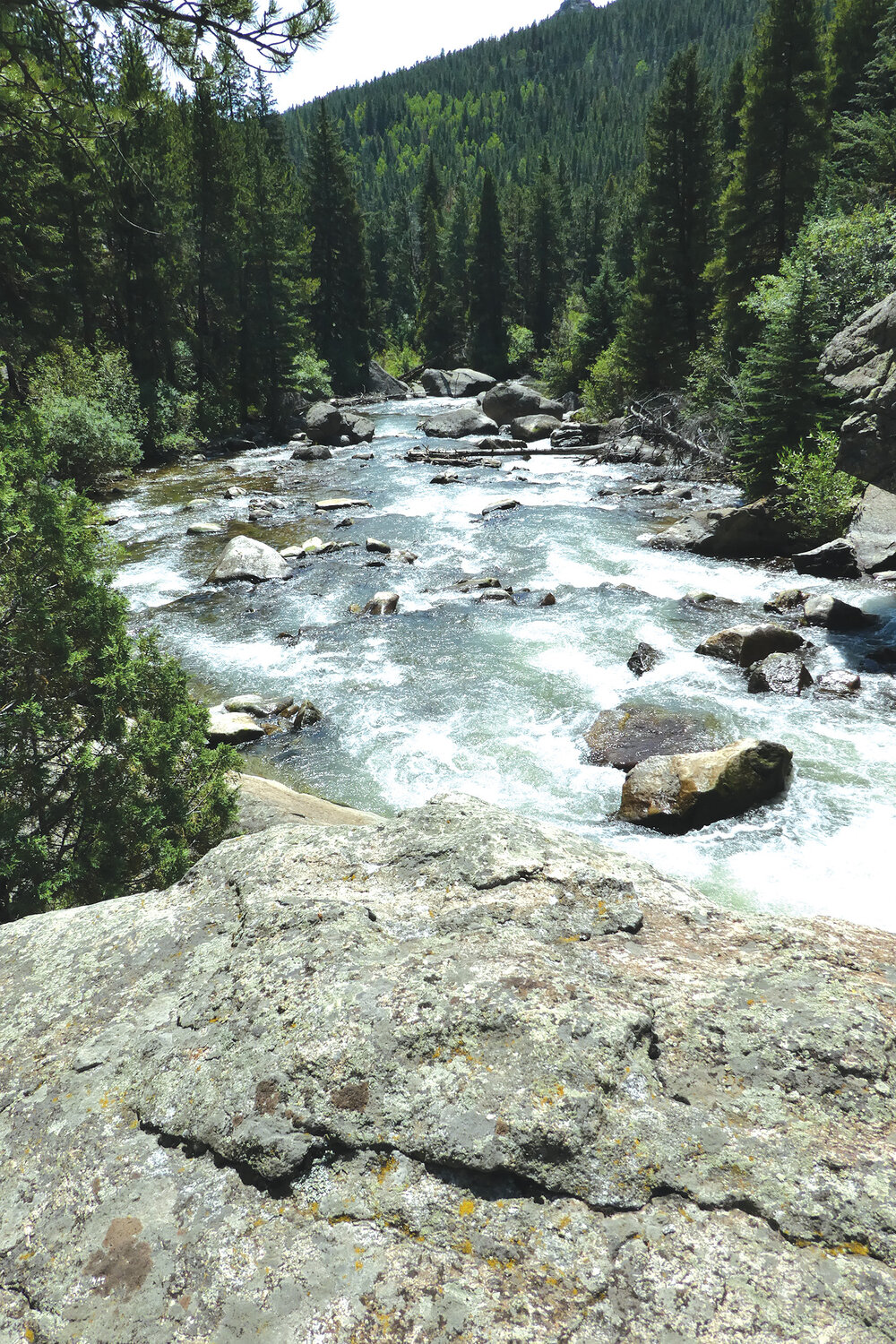 Davis Gulch enters river left