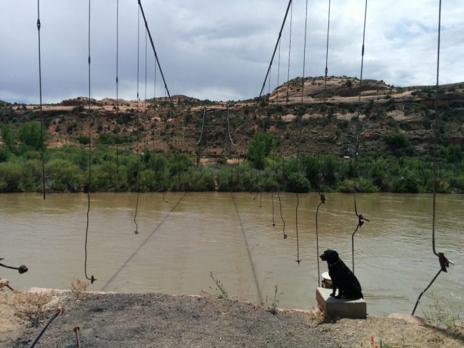 Dewey Bridge Take Out