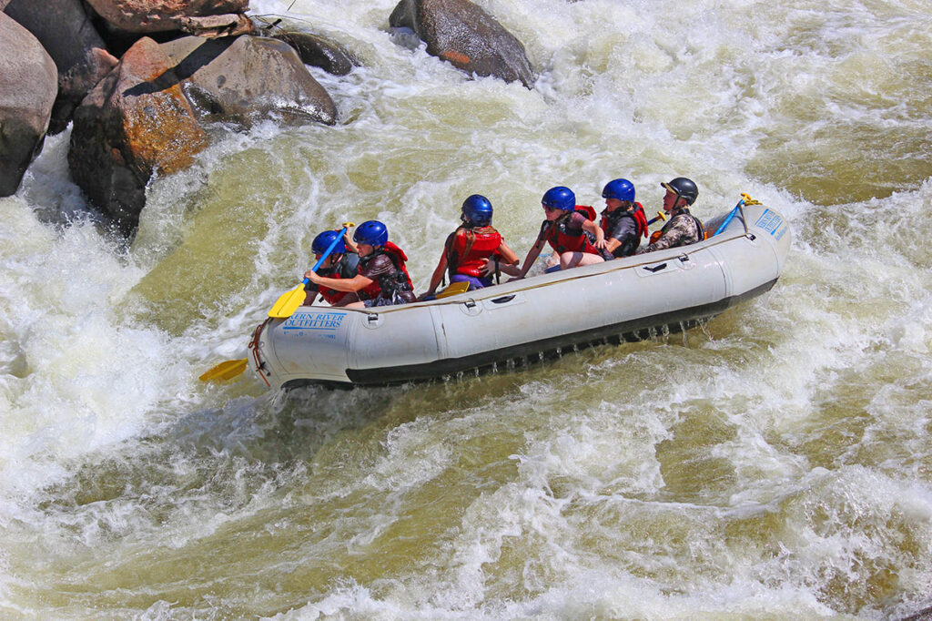 Dilly / Nippopotamus