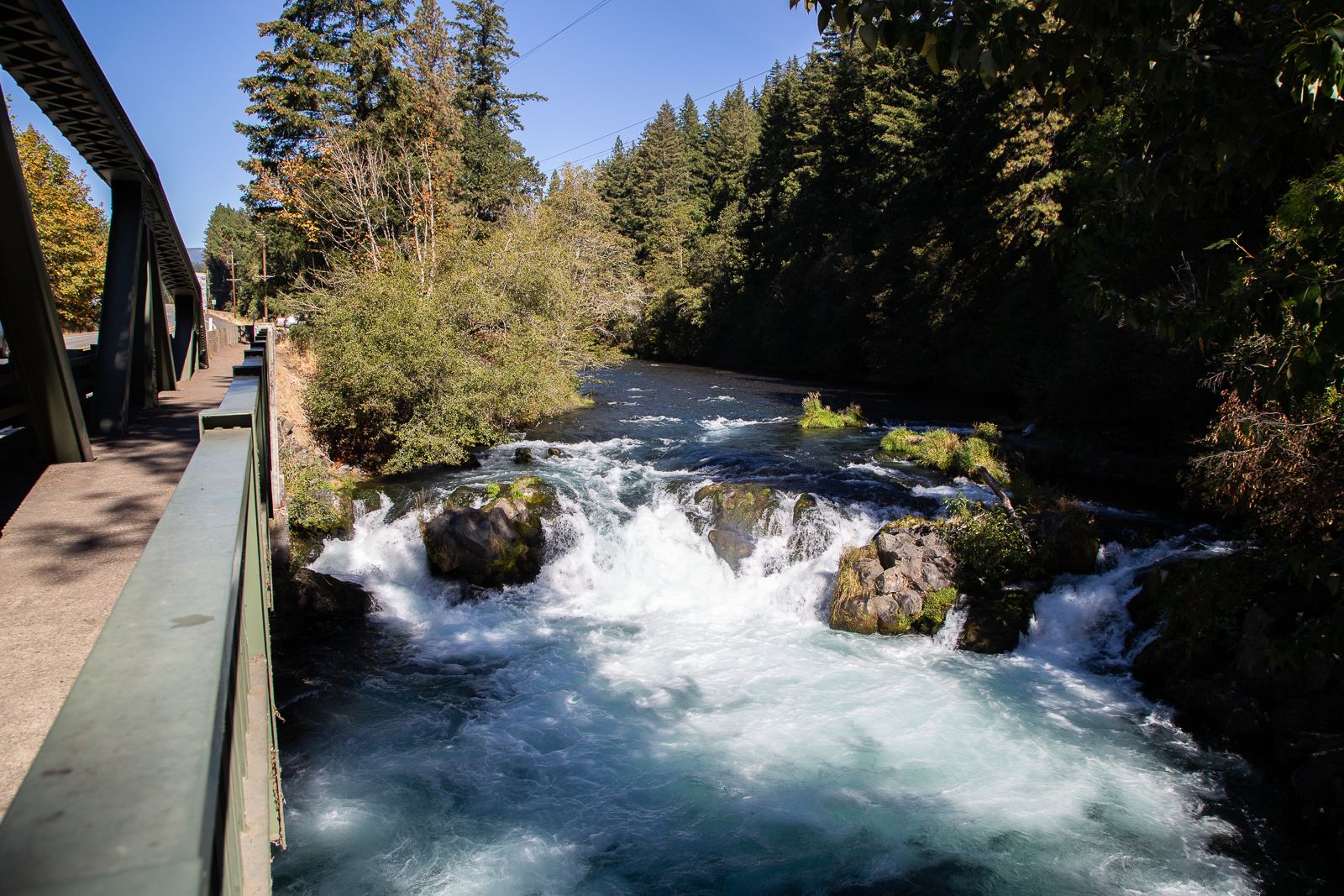 Dosewallips Falls Put-In