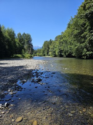 Dosewallips State Park Take-Out