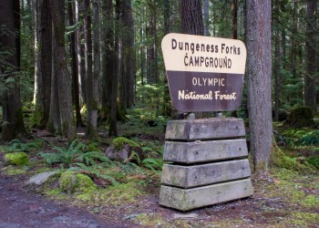 Dungeness Forks Campground Take-Out