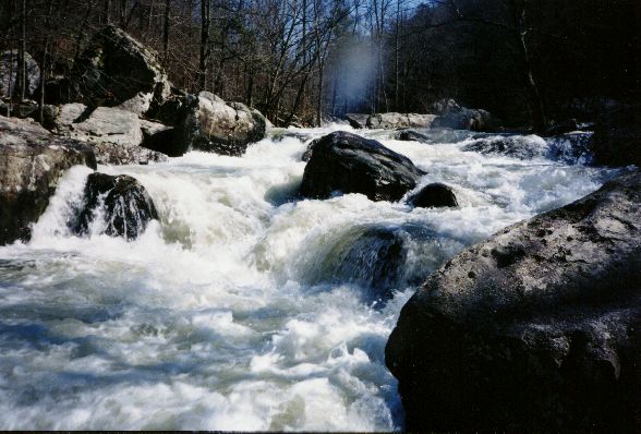 Eddy Creek (confluence, from left)