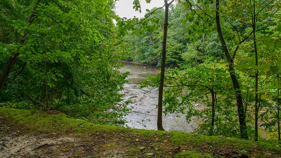 Elk Creek Trail Put-in