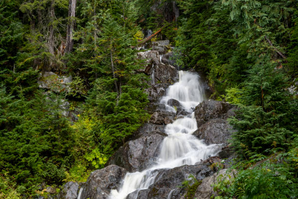 First downstream gradient