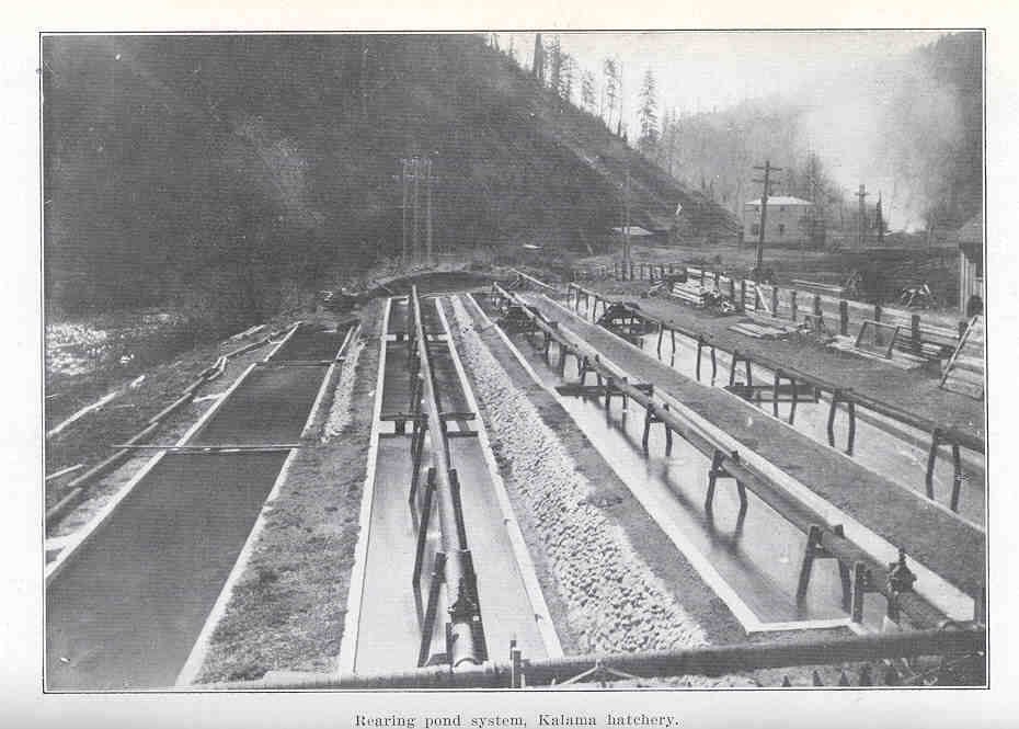 Fish Hatchery Access