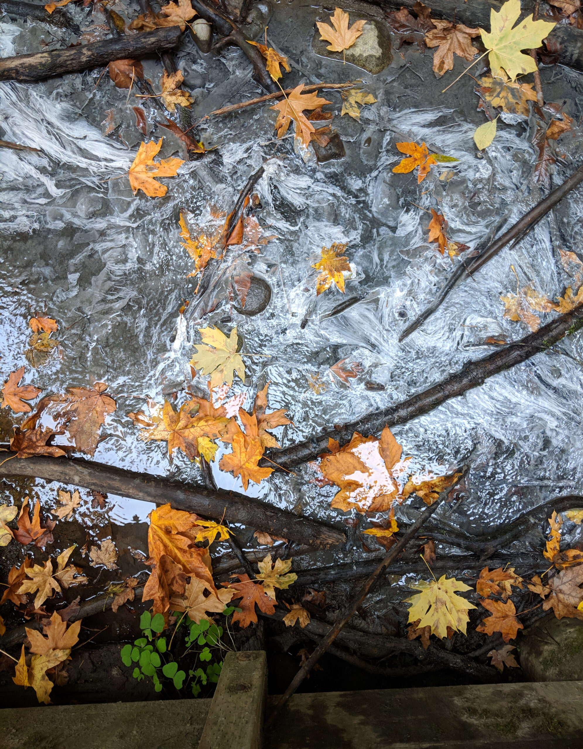 Flaming Geyser State Park Put In