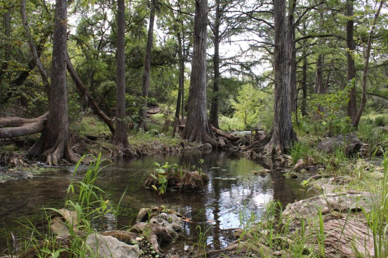 FM 3351 Crossing (Bergheim)