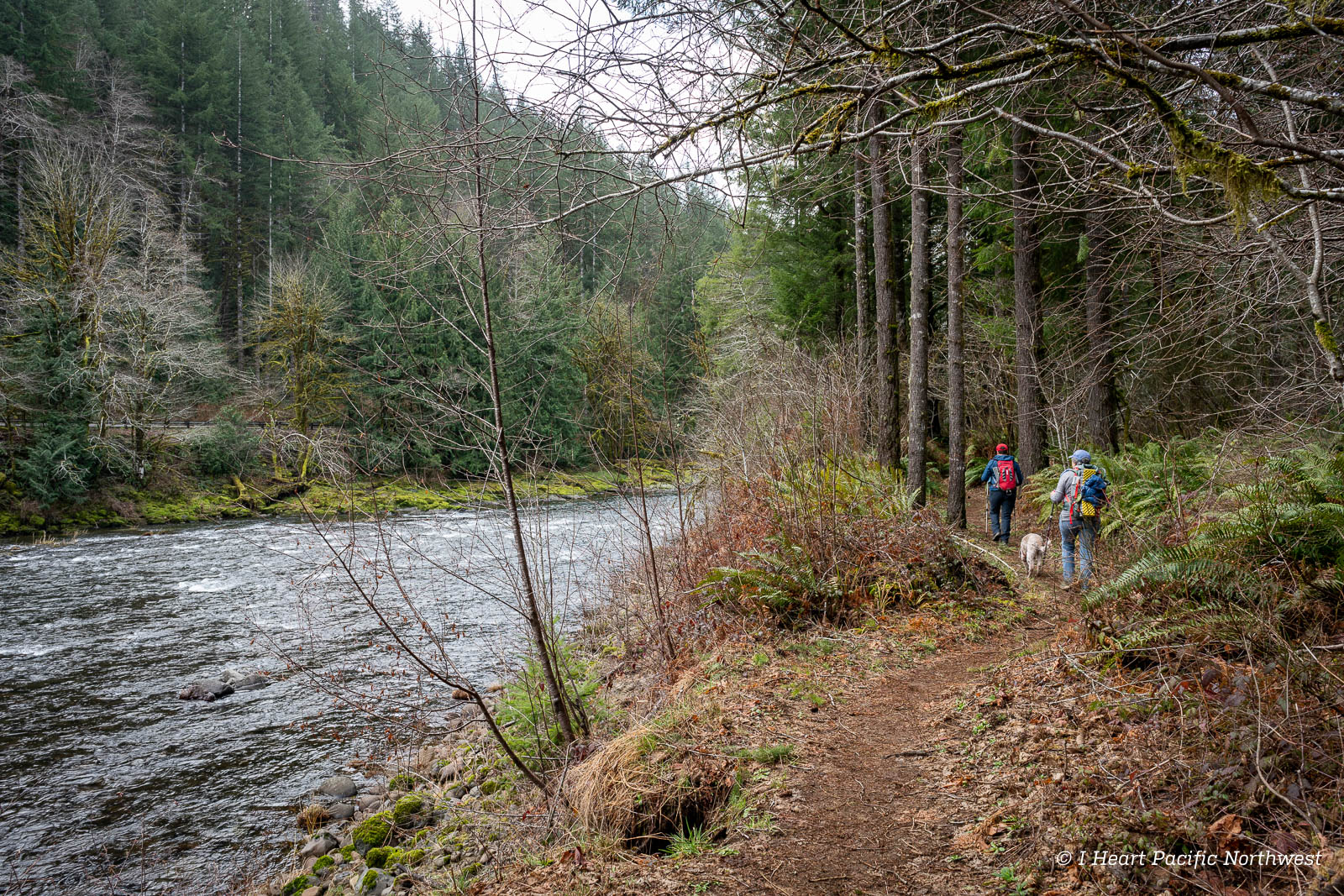 Footbridge Trailhead Access