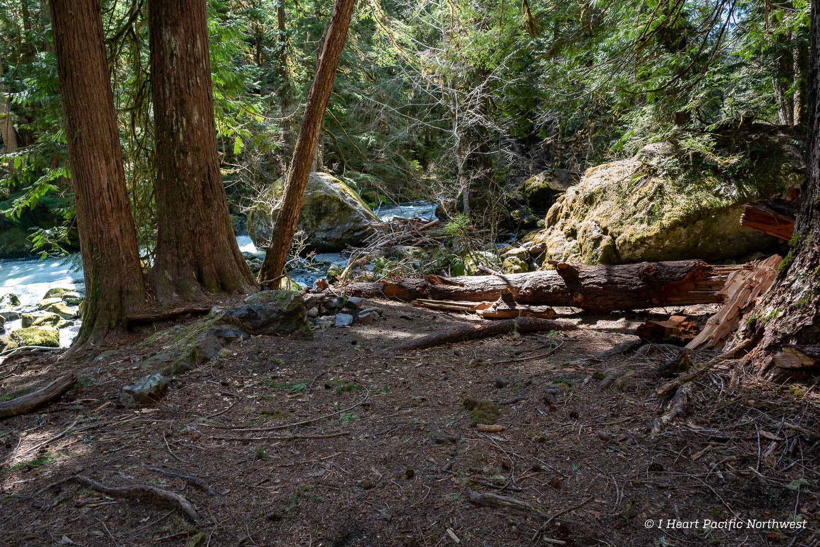 Forest Road 2510 Bridge Put-In