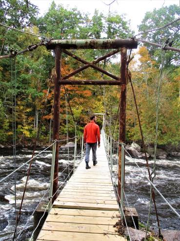 Forest Road 2870 Bridge