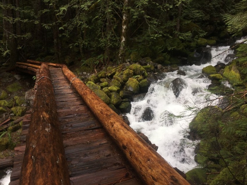 Forest Road 6830 Junction Put-in