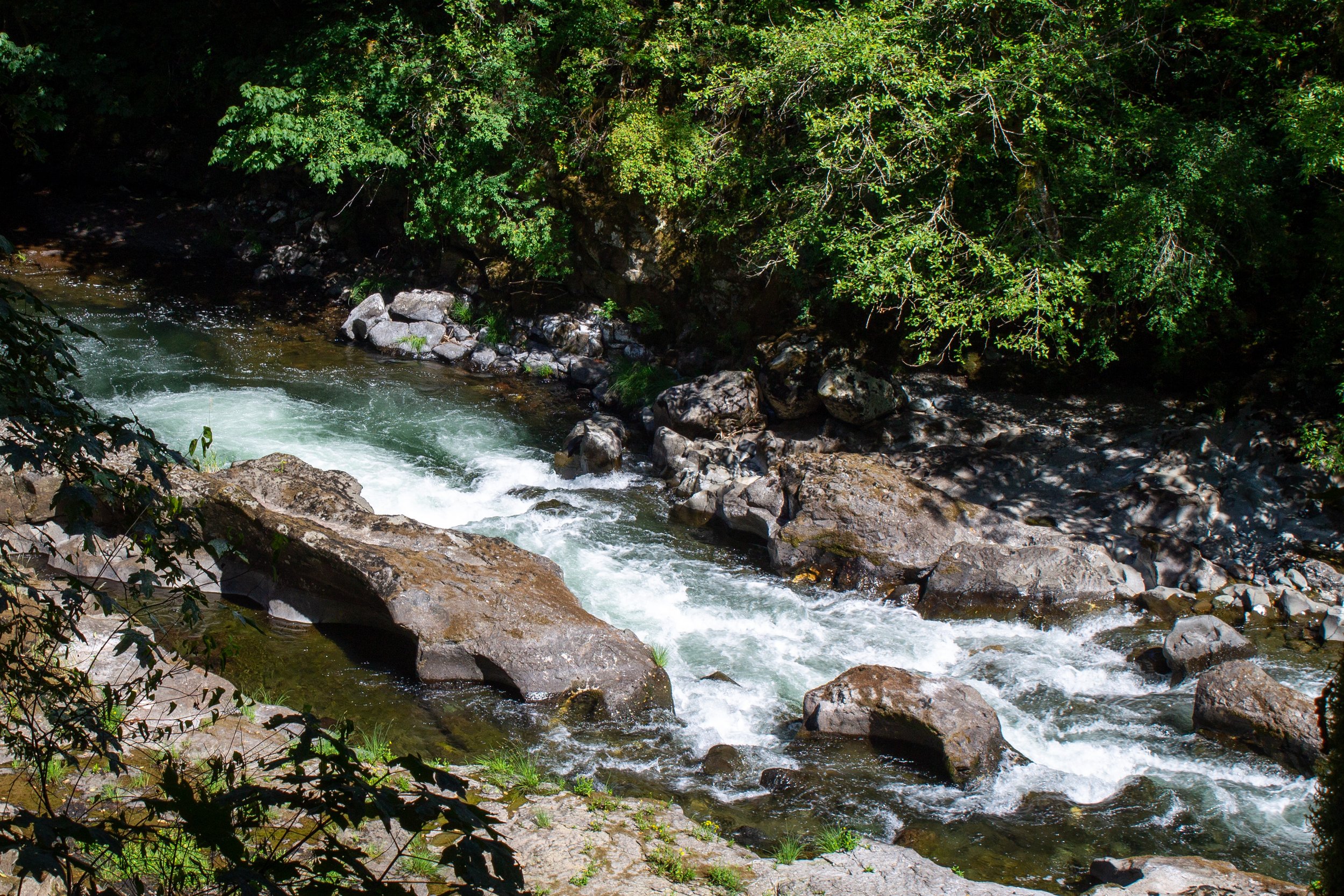 Forest Road 9039 Bridge, Take-Out