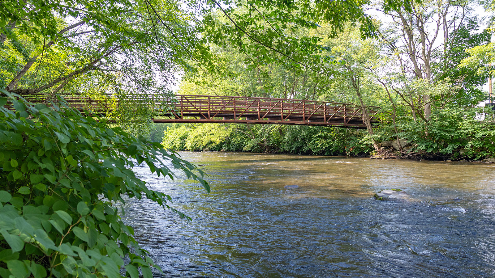 Grover Rd. - Potential Short Put-in