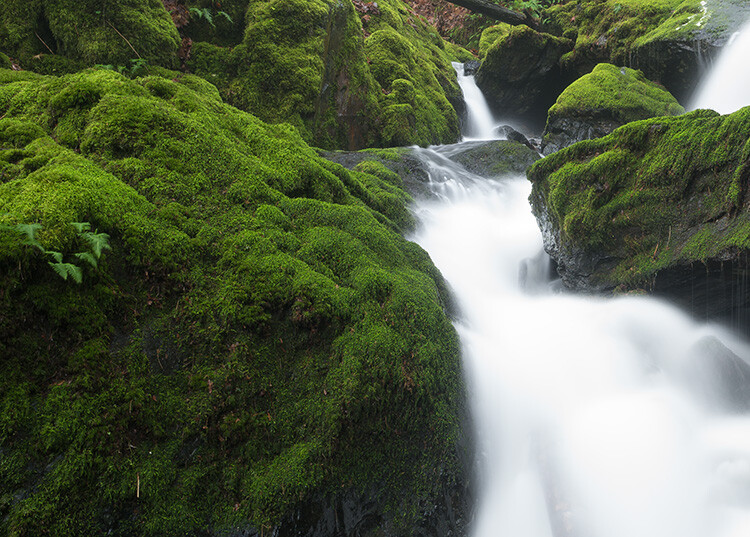 Head Banger  (AKA Straight Shot)