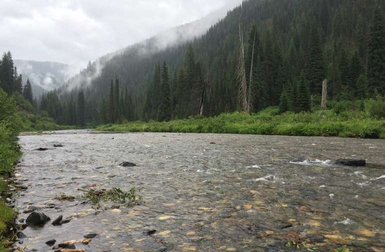 Heller Creek Campground, Put In