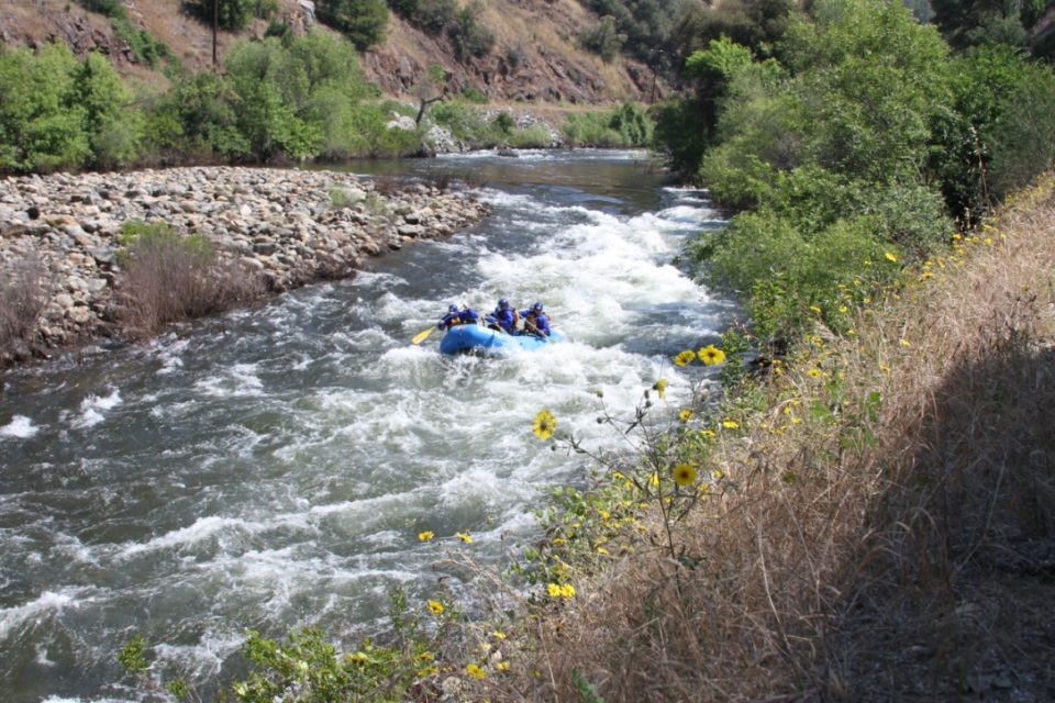 Henningson Lotus Park