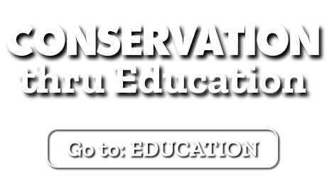 Highway 9 (Lumpkin County)