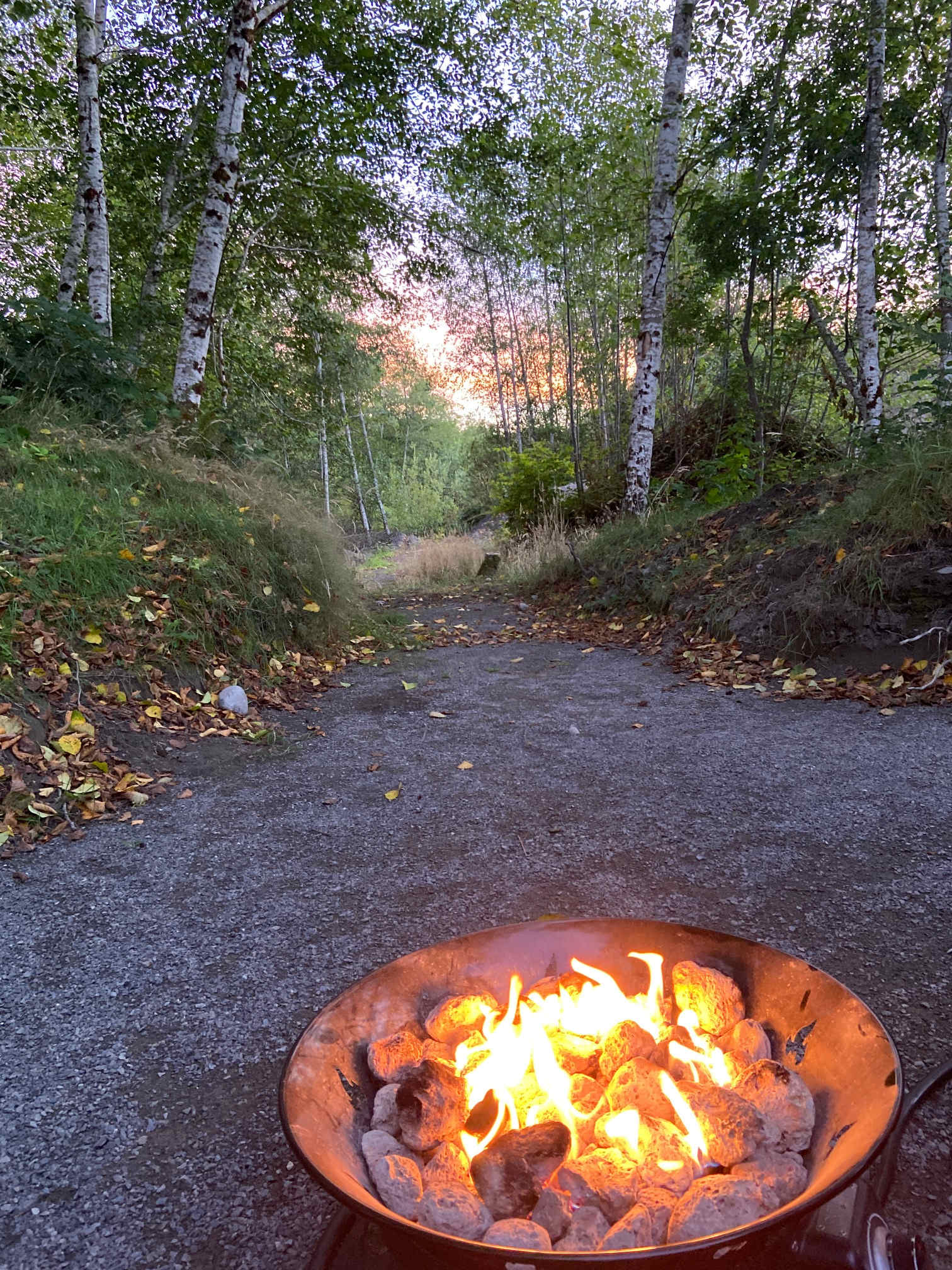 Hoh Rainforest Campground Put-In