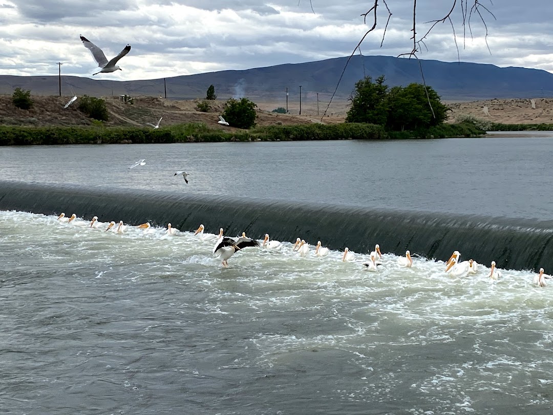 Horn Rapids Dam (aka Wanawish Dam)